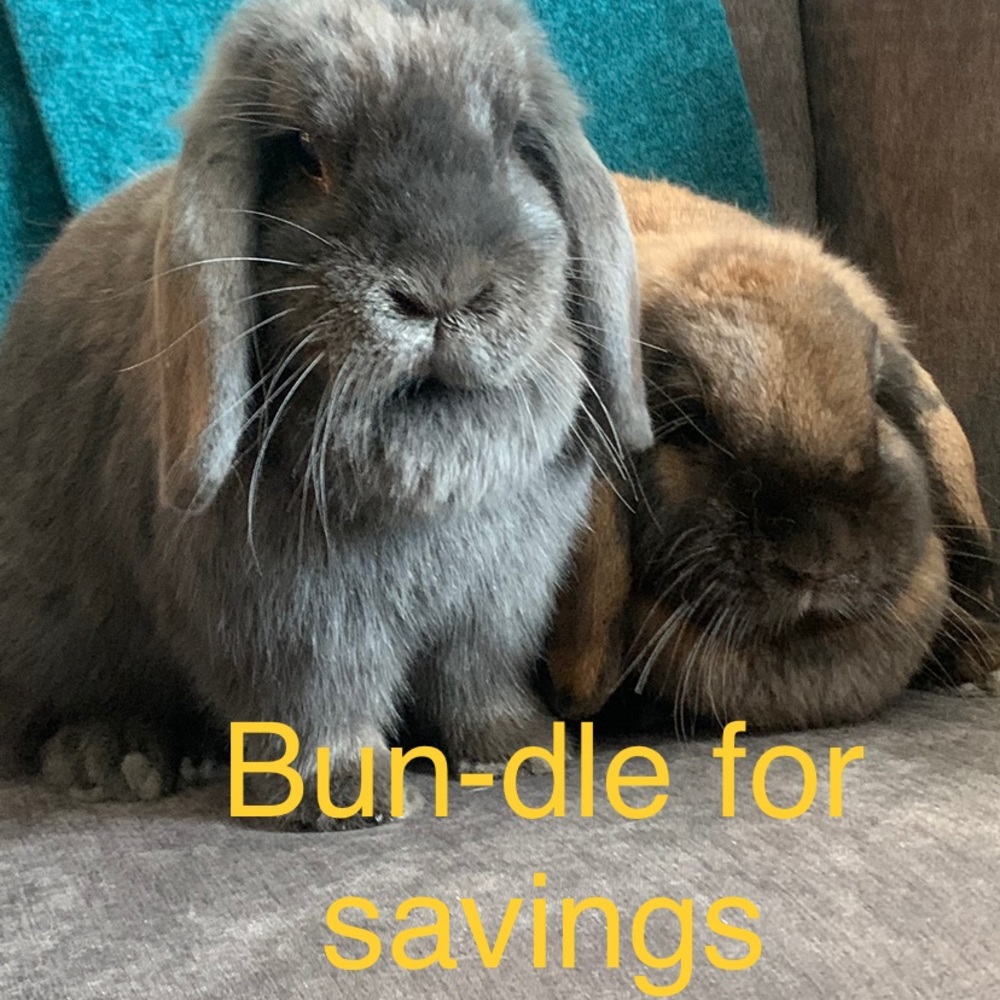 Meet Moose and Rose.